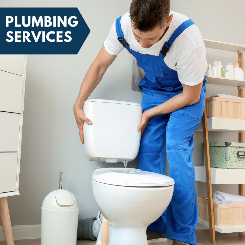 Plumbing Company in Ashley, MI
